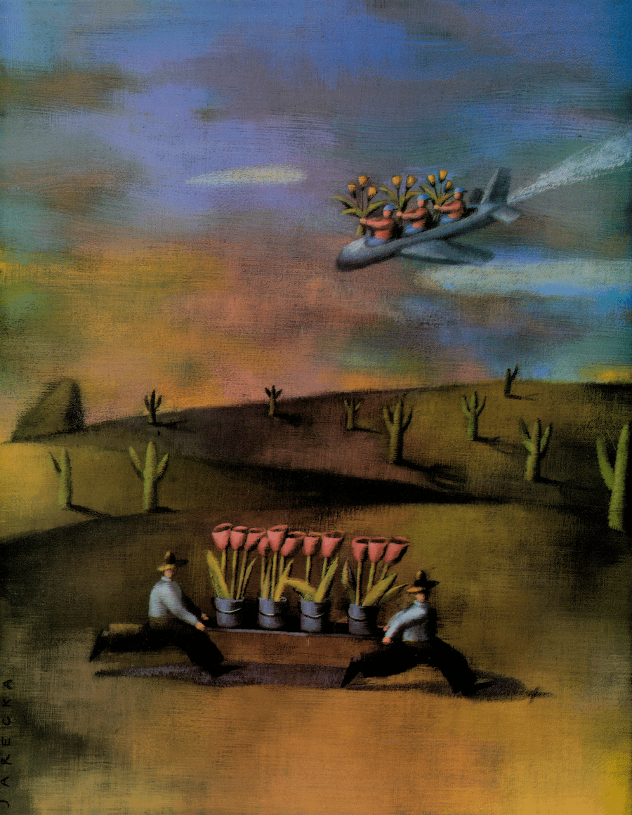 How to Deliver Flowers